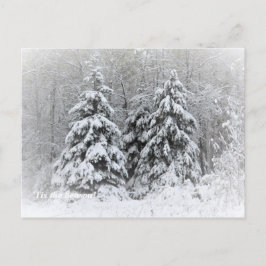 "Tis the Season Up North, Mn Winter Helgdag Vykort