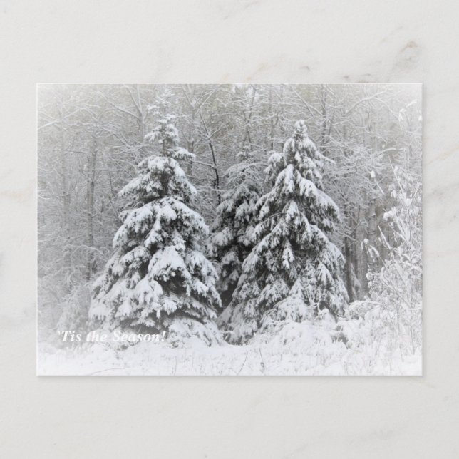 "Tis the Season Up North, Mn Winter Helgdag Vykort (Framsida)