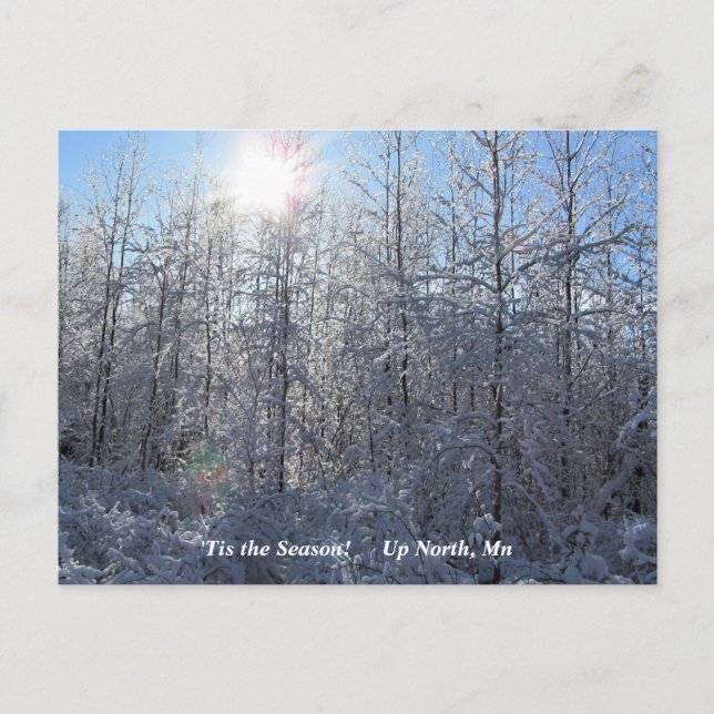 "Tis the Season Up North, Mn Winter Helgdag Vykort (Framsida)