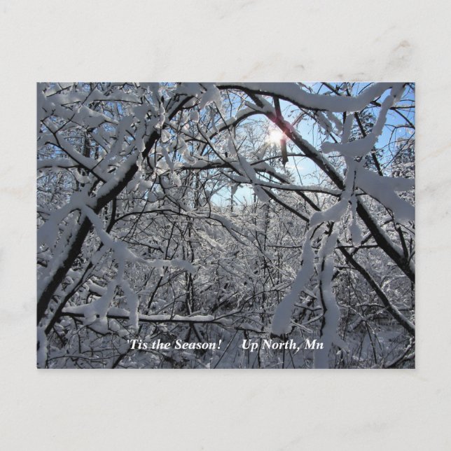 "Tis the Season Up North, Mn Winter Helgdag Vykort (Framsida)