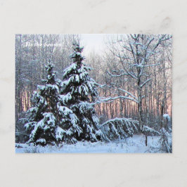 "Tis the Season Up North, Mn Winter Helgdag Vykort