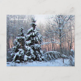 "Tis the Season Up North, Mn Winter Helgdag Vykort