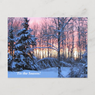 "Tis the Season Up North, Mn Winter Helgdag Vykort