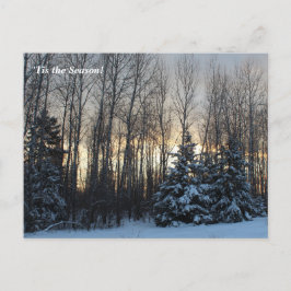 "Tis the Season Up North, Mn Winter Helgdag Vykort