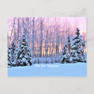 "Tis the Season Up North, Mn Winter Helgdag Vykort