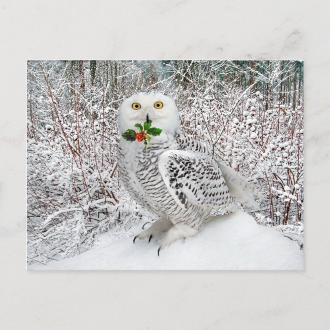 "T'is the Season" Vykort (Framsida)