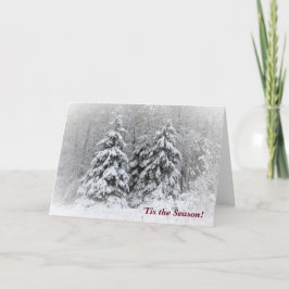 "Tis the Season Winter Helgdag Kort