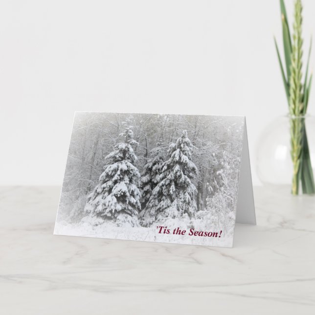"Tis the Season Winter Helgdag Kort (Framsida)