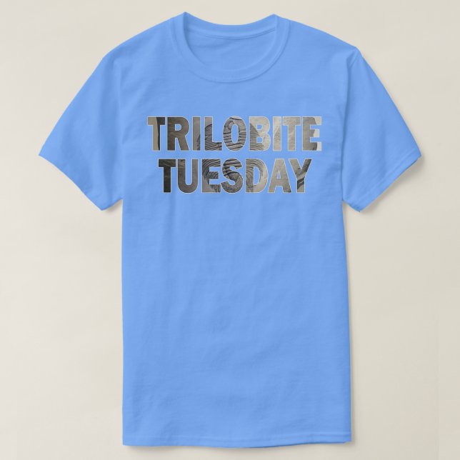 Tisdag 4 t shirt (Design framsida)