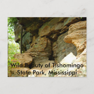 Tishomingo Sten Forformation II Vykort