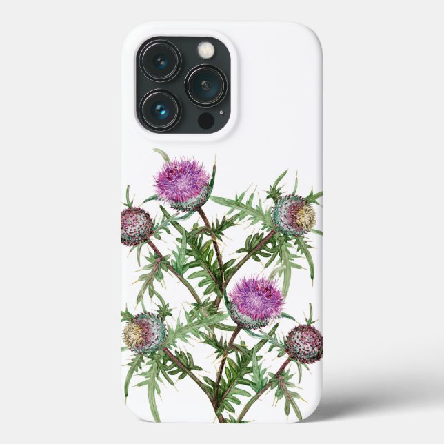 Tistel violetta blommor  (Baksida)