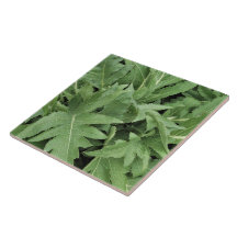 Tistelfoliage