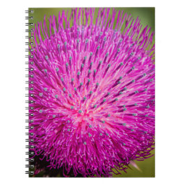 Tistelgarvning i mjölk anteckningsbok