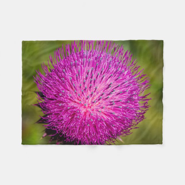 Tistelgarvning i mjölk fleecefilt (Framsidan (Horisontell))