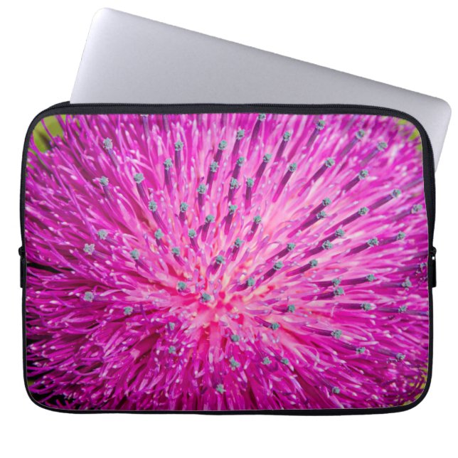 Tistelgarvning i mjölk laptop fodral (Framsidan)