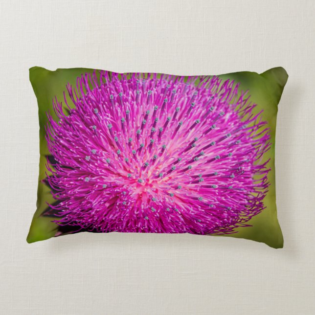 Tistelgarvning i mjölk prydnadskudde (Baksidan)