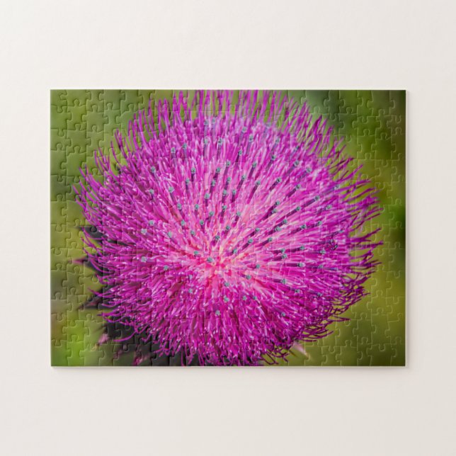 Tistelgarvning i mjölk pussel (Horisontell)