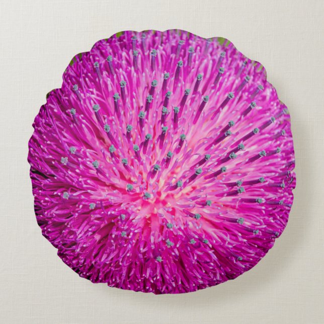 Tistelgarvning i mjölk rund kudde (Framsidan)