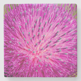 Tistelgarvning i mjölk stenunderlägg