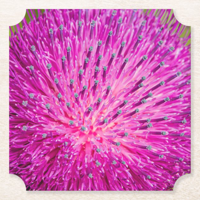 Tistelgarvning i mjölk underlägg papper (Framsida)