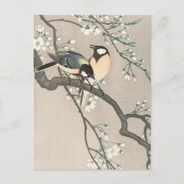 Tit on Cherry Gren Painting by Ohara Koson Vykort (Framsida)