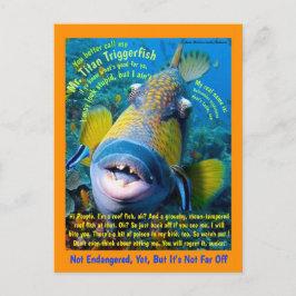 Titan Triggerfish, för barnet, en humoristisk - Vykort