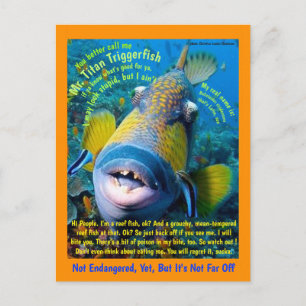 Titan Triggerfish, för barnet, en humoristisk - Vykort