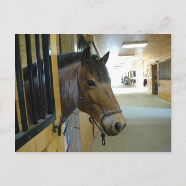 Titan-vykort Vykort (Framsida)