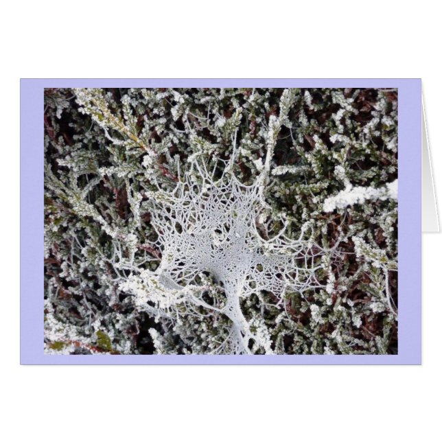 Titanias tal hälsningskort (Framsidan Horizontal)