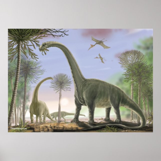 Titanosaur Argentinosaurus Poster (Framsidan)