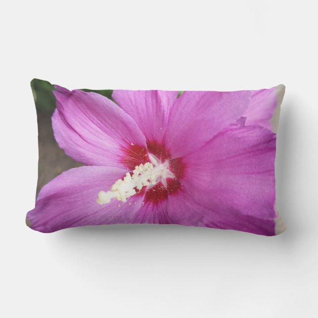Titel Rosa Hibiskusblomma Blommig Kastkudde Lumbarkudde (Framsida)
