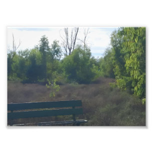 Titel: ”Tyst bänk i en vild naturlandskap”   Fototryck