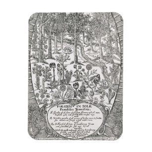 Titelsidan från 'Paradisi sular; Paradisus Magnet