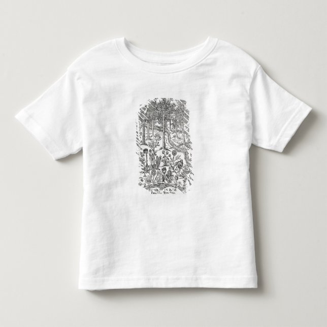Titelsidan från 'Paradisi sular; Paradisus Tee (Framsida)