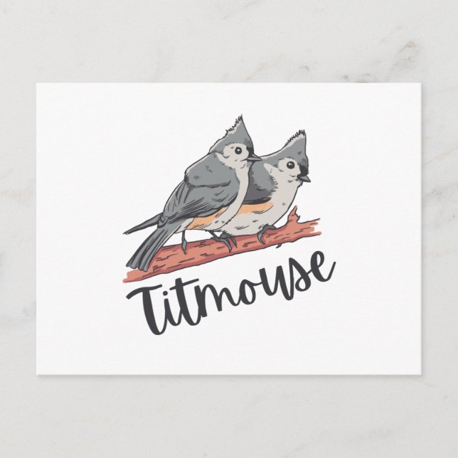 Titmus tuftad Titmice Cute Bird Gift Vykort (Framsida)