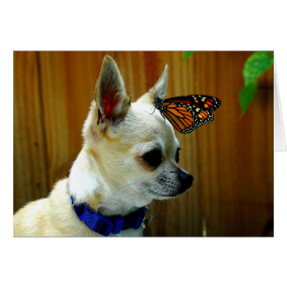 Tito och monarkkortet hälsningskort