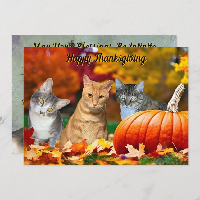 Tito, Taz, and Annie's 2025 Thanksgiving Flat Card (Fram/baksida)