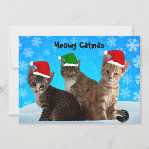Tito, Taz och Annie önskar er en Mysig Jul Julkort