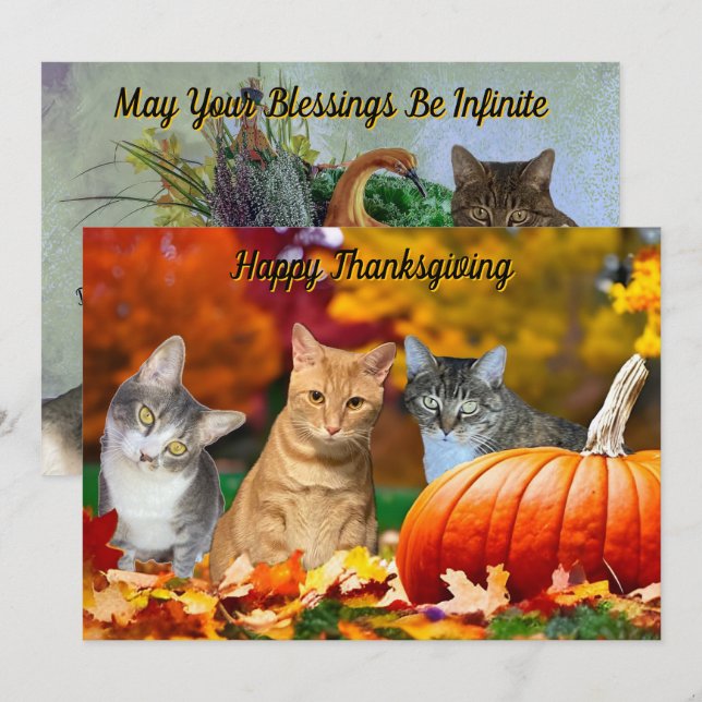 Tito, Taz och Annies 2025 Thanksgiving Flat Kort (Fram/baksida)
