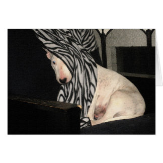 Titt-en-Översittare Hälsningskort