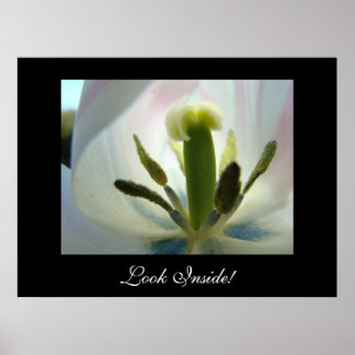 TITTA INSIDAN! Art Prints Tulip Flower Blue Rosa Poster
