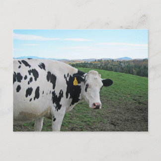 Titta inte bakåt vykort