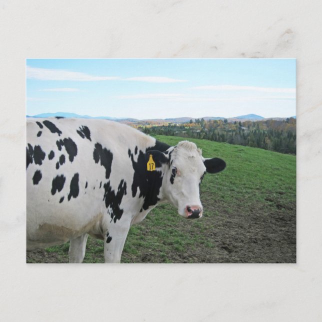 Titta inte bakåt vykort (Framsida)