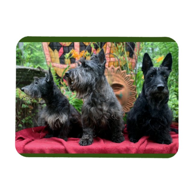 Titta inte magnet (Horisontell)