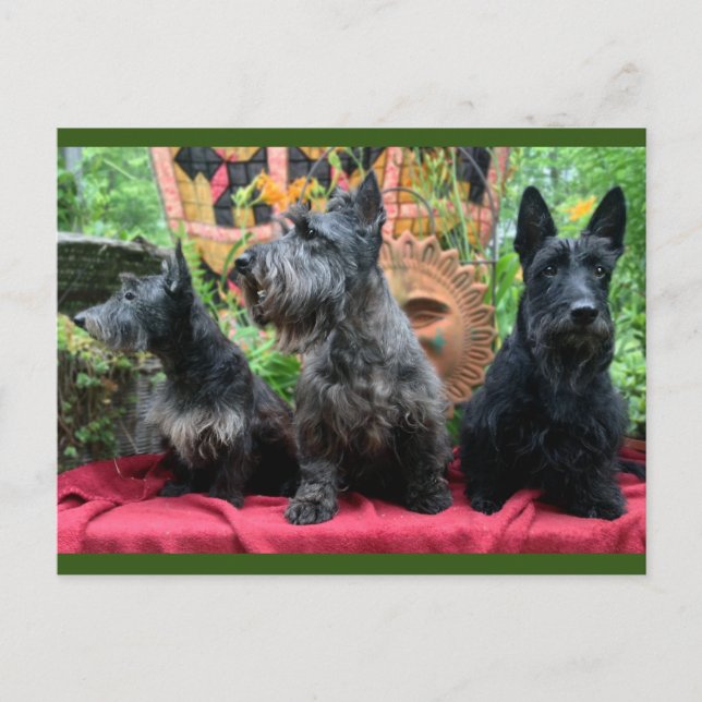 Titta inte på vykort (Framsida)