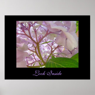Titta inuti konsttryck Helande beröring Hortensia Poster