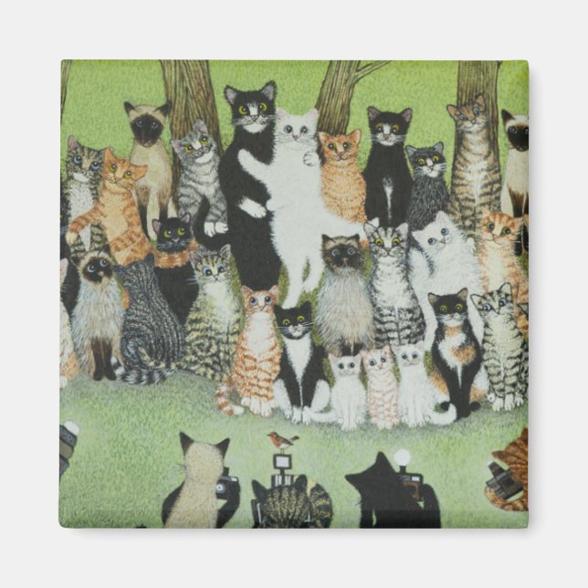 Titta på Birdie Magnet (Framsidan)