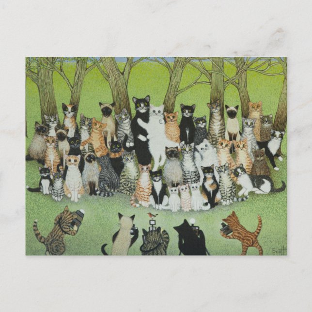 Titta på Birdie Vykort (Framsida)