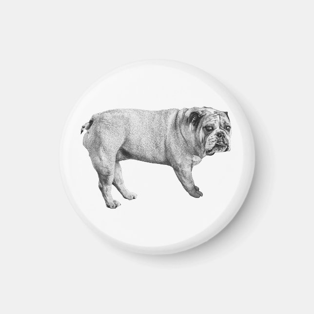 Titta på Bulldog Magnet (Framsidan)