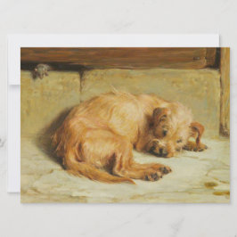 Titta på Cocker Spansk Hund Kort